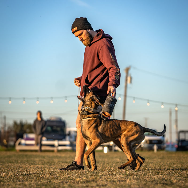 Dog training isn’t a hands-off activity for owners, where canines are dropped off at a class and picked up when it’s over. You’ll be an active participant in the program and will receive as much training as your dog because it’s critical for owners to understand what it really takes to own a well-behaved animal. Even our board and training programs have follow-up and private sessions with owners. By training you, you will have a clear understanding of what it takes to build a relationship with your canine, how to form a strong bond, and learn consistent methods to keep it going when you’re at home.